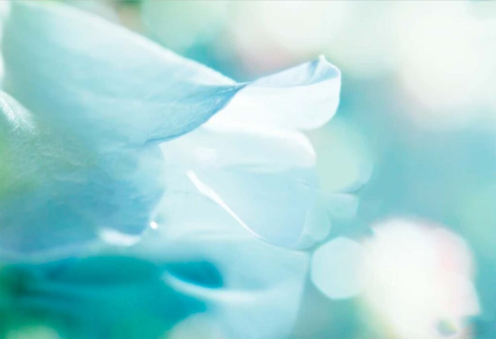 The current image has no alternative text. The file name is: gallery-featured.jpg